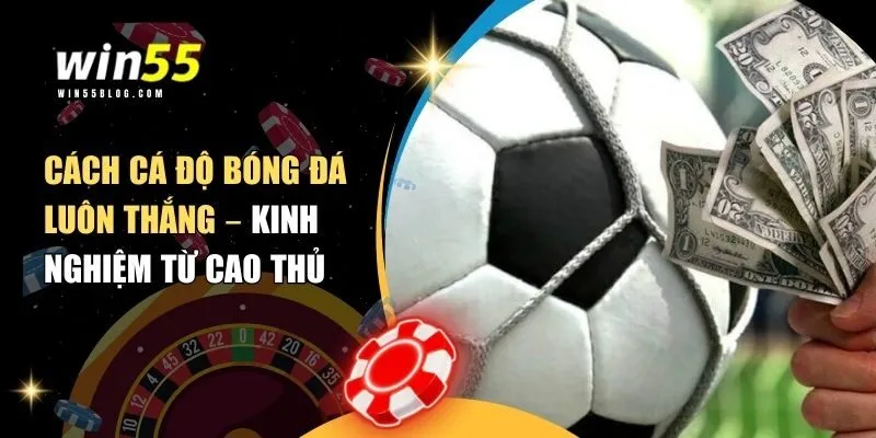 Cách cá độ bóng đá luôn thắng